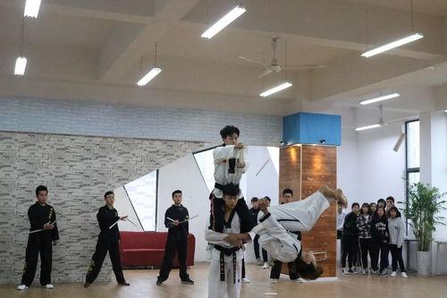 烟台爆料最新新闻联播,新闻联播聚焦城市新发展与民生改善 第3张 烟台爆料最新新闻联播,新闻联播聚焦城市新发展与民生改善 第3张